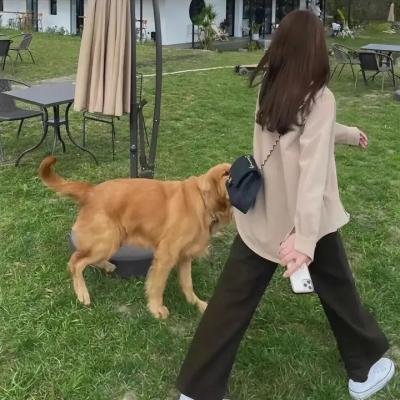 不做爱情傻子
